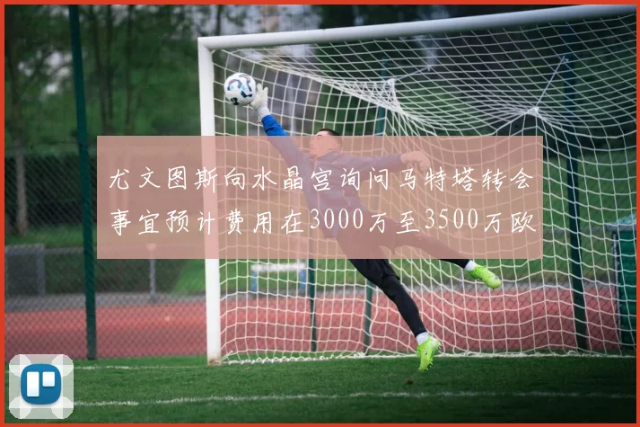 尤文图斯向水晶宫询问马特塔转会事宜预计费用在3000万至3500万欧元之间