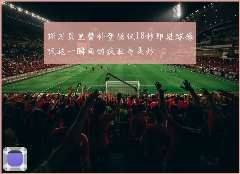 斯万贝里替补登场仅18秒即进球感叹这一瞬间的疯狂与美妙